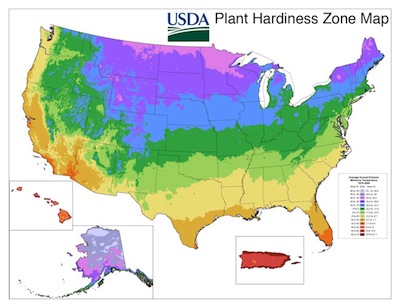 Plant Hardiness Zone Map: USDA and Agriculture Canada | The Old Farmer ...