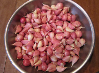 Making Garlic Powder | The Old Farmer's Almanac