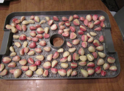 https://www.almanac.com/sites/default/files/d6/images/garlic%20in%20tray.jpg