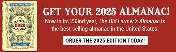 2025 Almanac