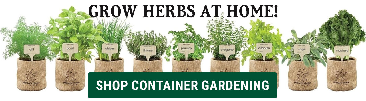 Container Gardening Products