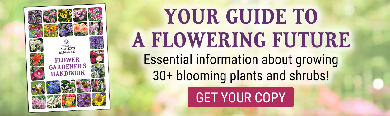 Flower Gardener Handbook