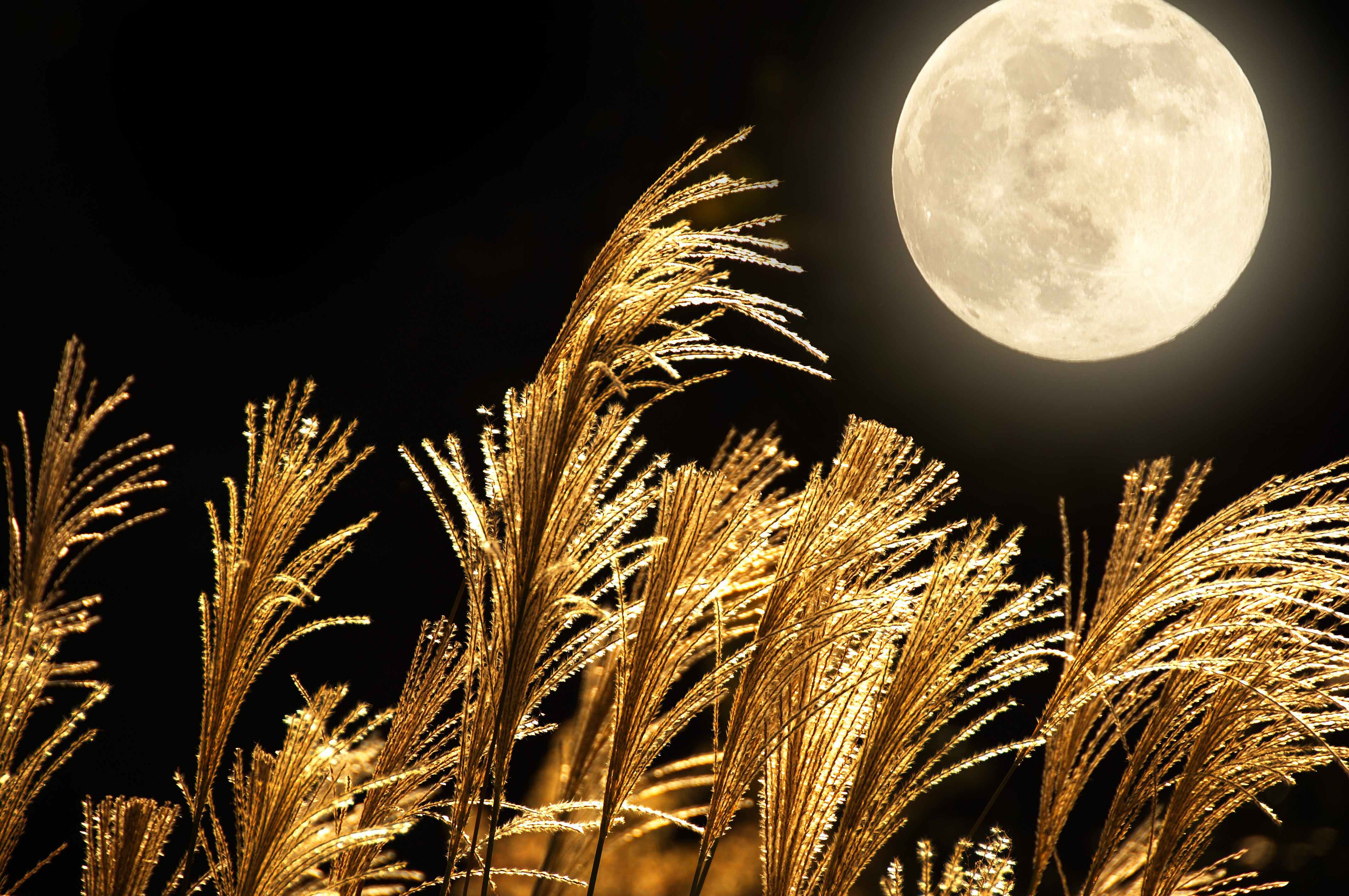 The Full Harvest Moon Rises Friday the 13th! Old Farmer's Almanac