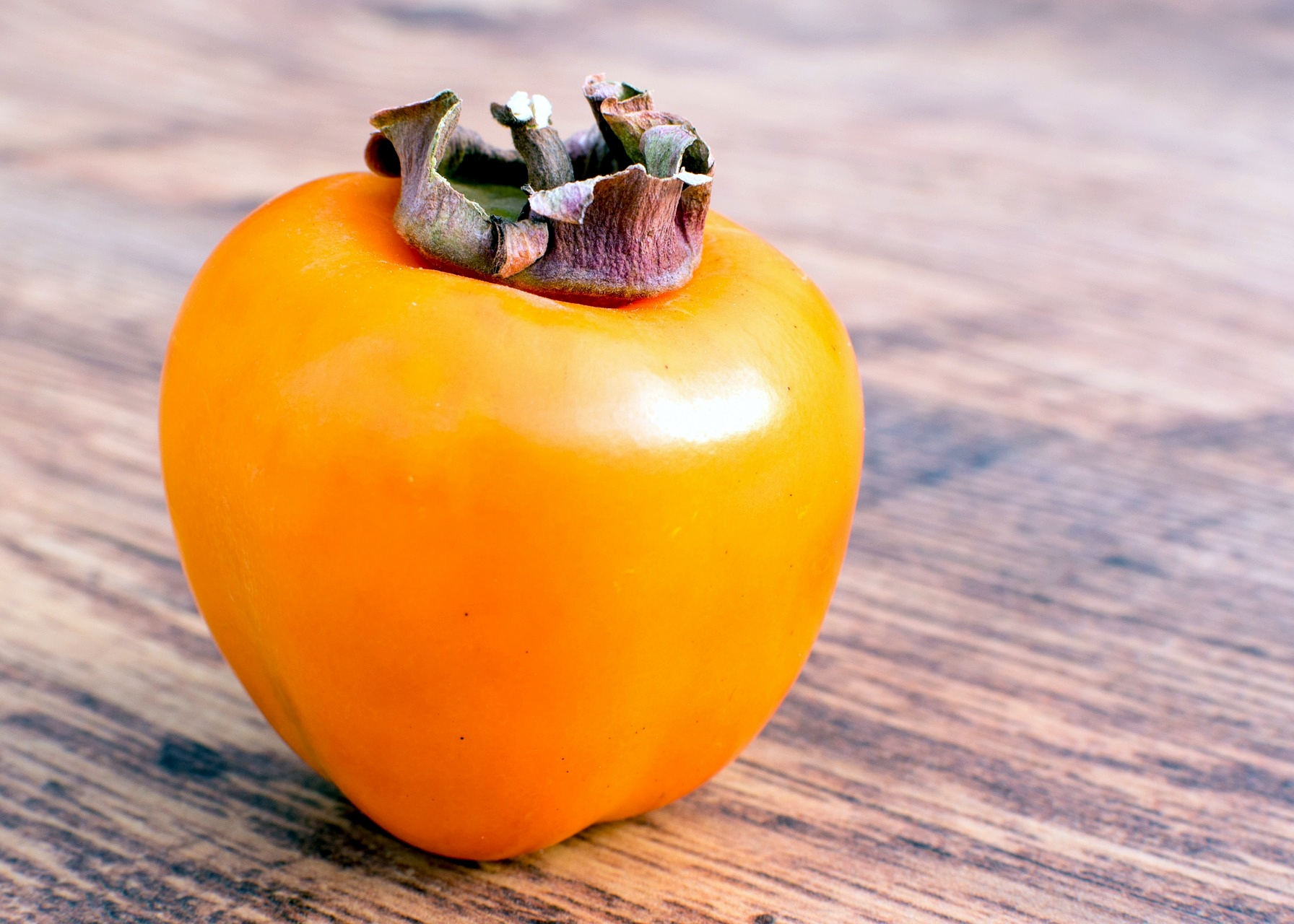 How to Predict Winter Weather With a Persimmon Seed The