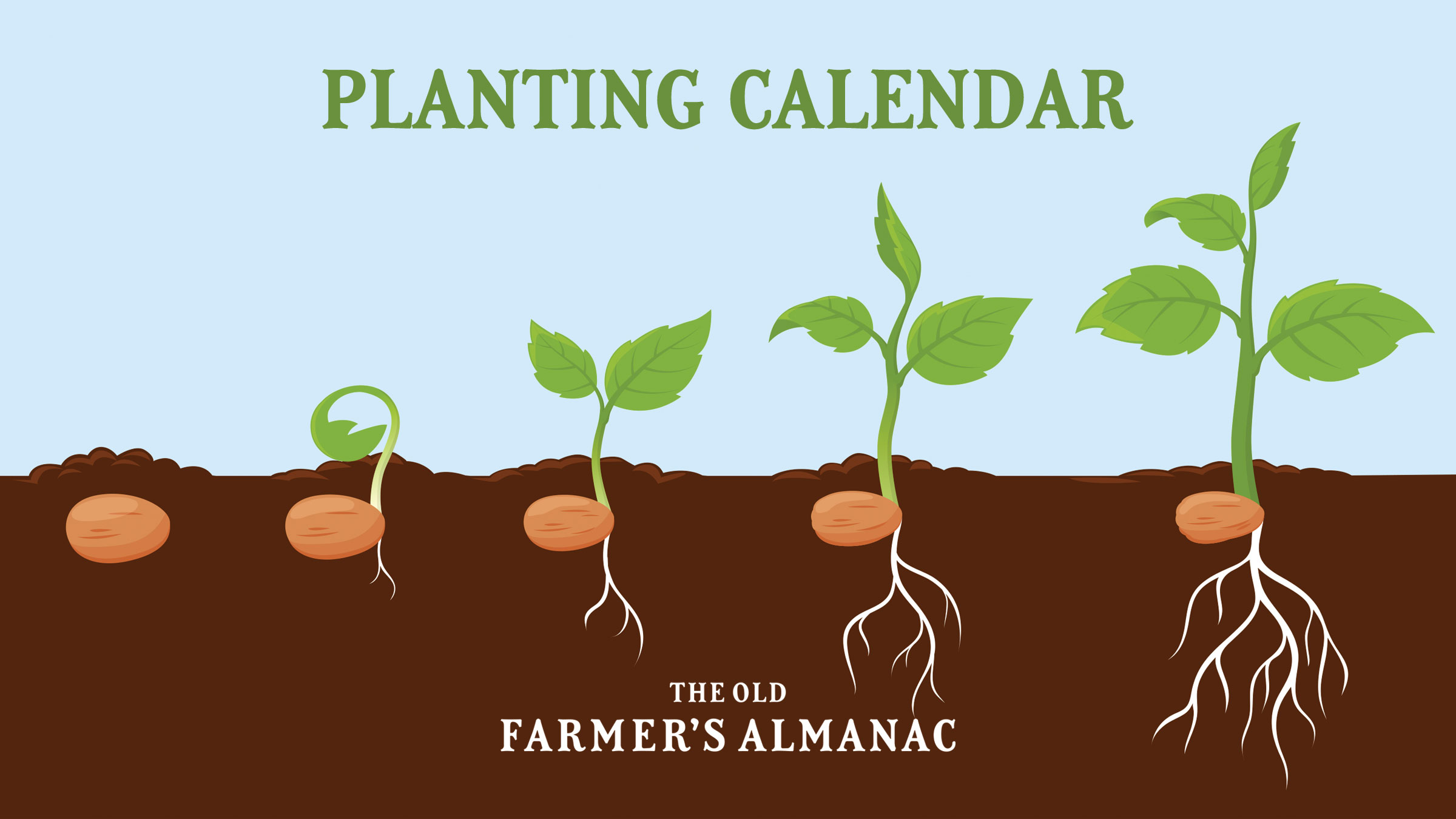 Planting Calendar, seed germinating