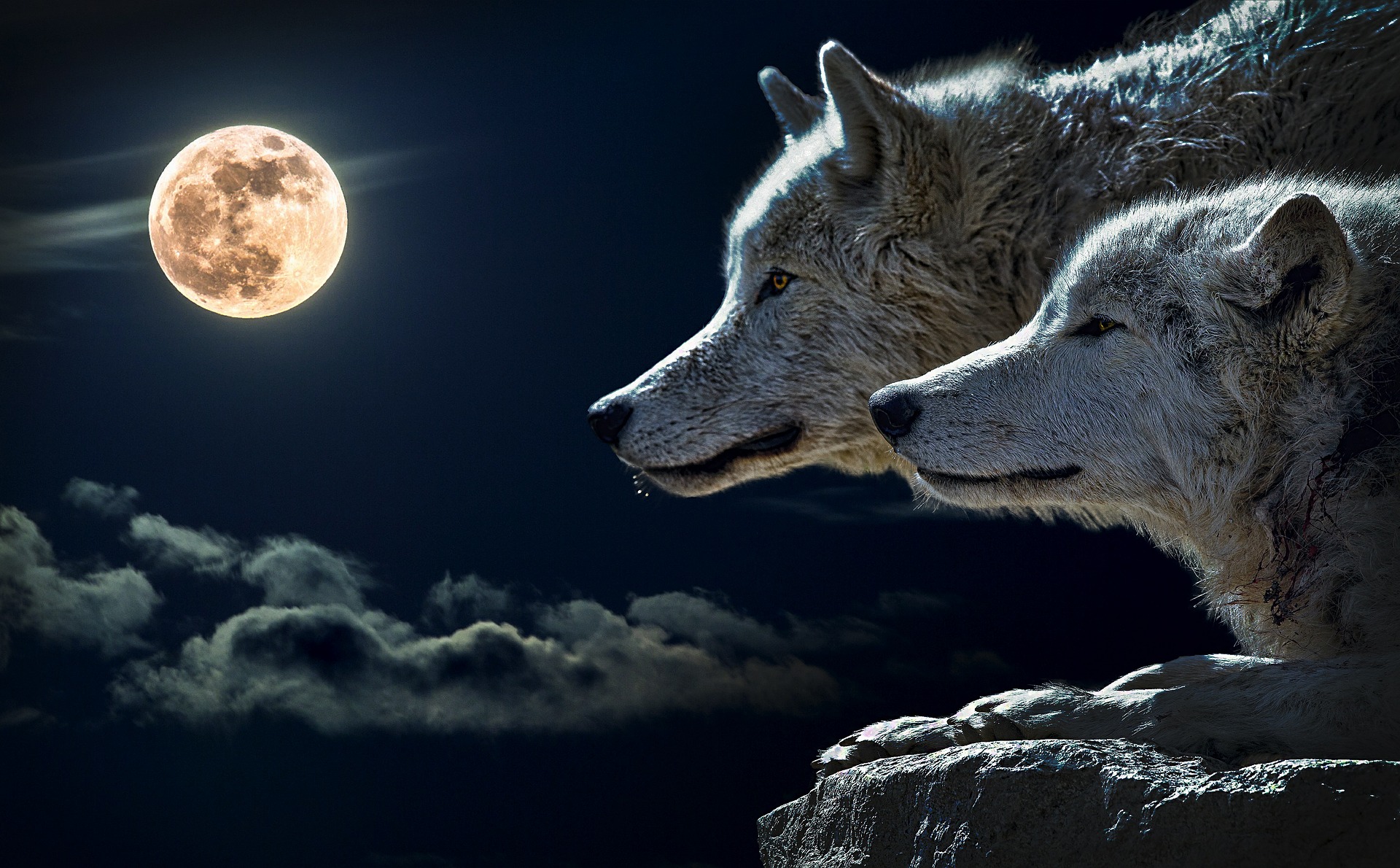 Full Moons for January 2018 The Full Wolf Moon and Blue Moon