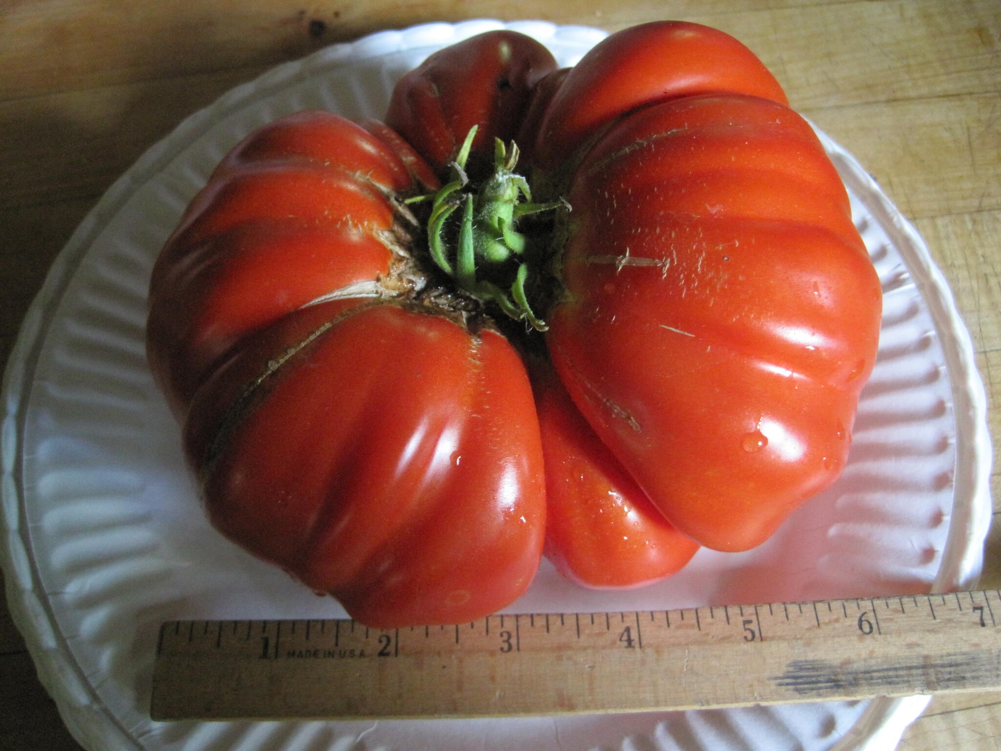 Omar's Lebanese indeterminate heirloom tomato