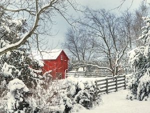 Barn