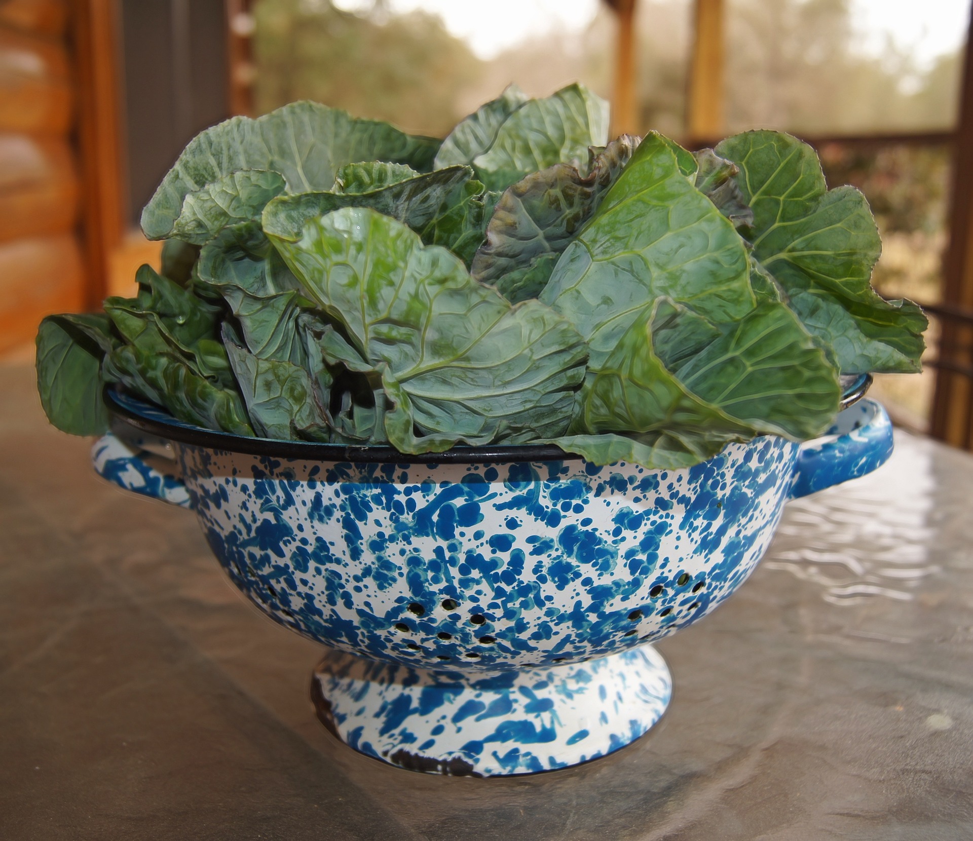 collard greens harvested in a white and blue bowl