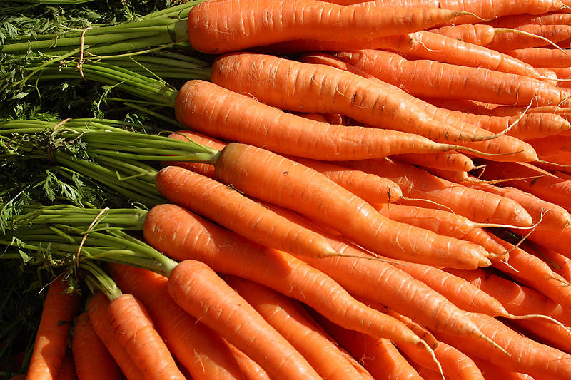 Carrots: Planting and Growing Carrots | The Old Farmer's Almanac