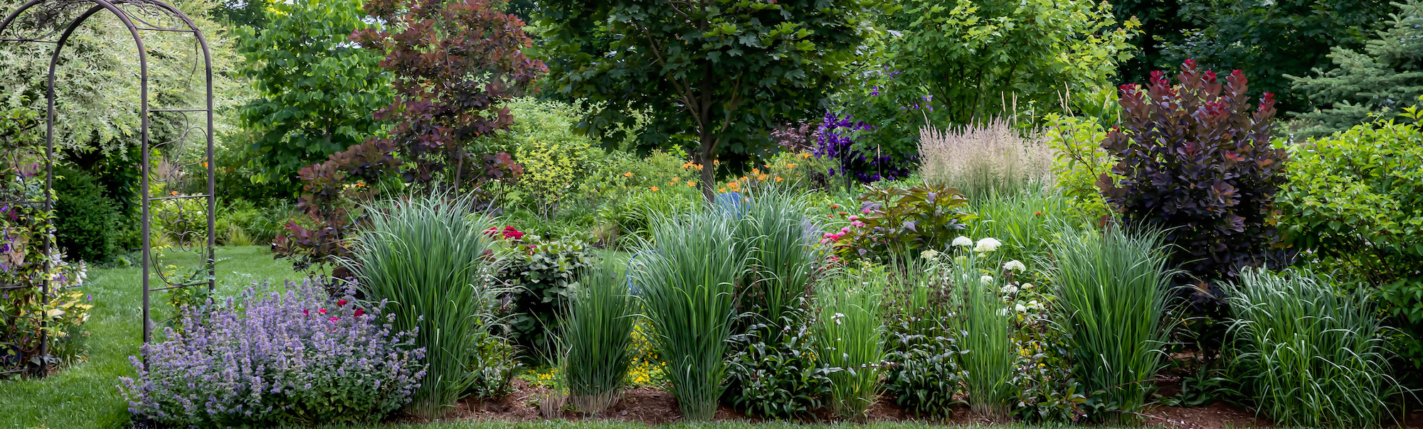 garden with ornamental grasses