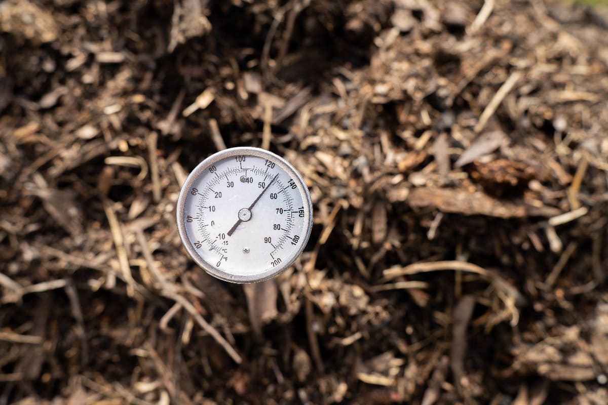 Out of focus compost pile with a thermometer in focus.