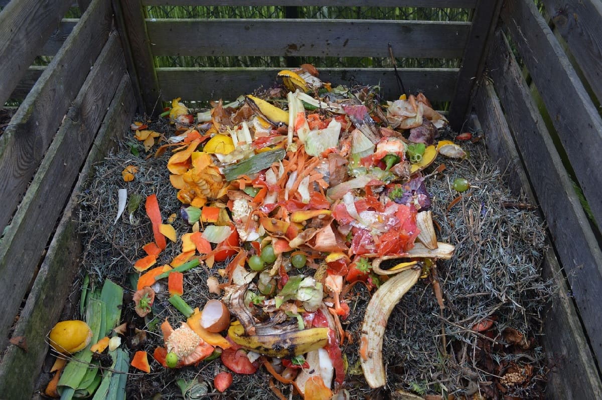 Composting in a pallet compost bin