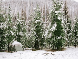 snow-blanket