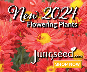 Jung Seed