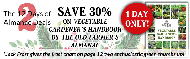 The Vegetable Gardener's Handbook