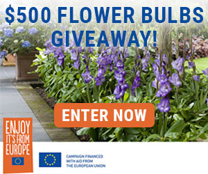 Flower Bulbs Giveaway