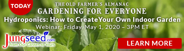 Almanac Gardening Webinar