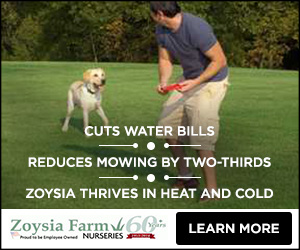 Zoysia Grass