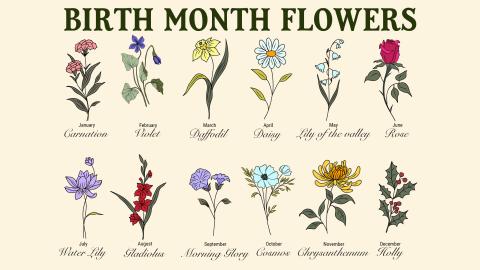 What is My Birth Flower? | Birth Month Flowers | The Old Farmer's