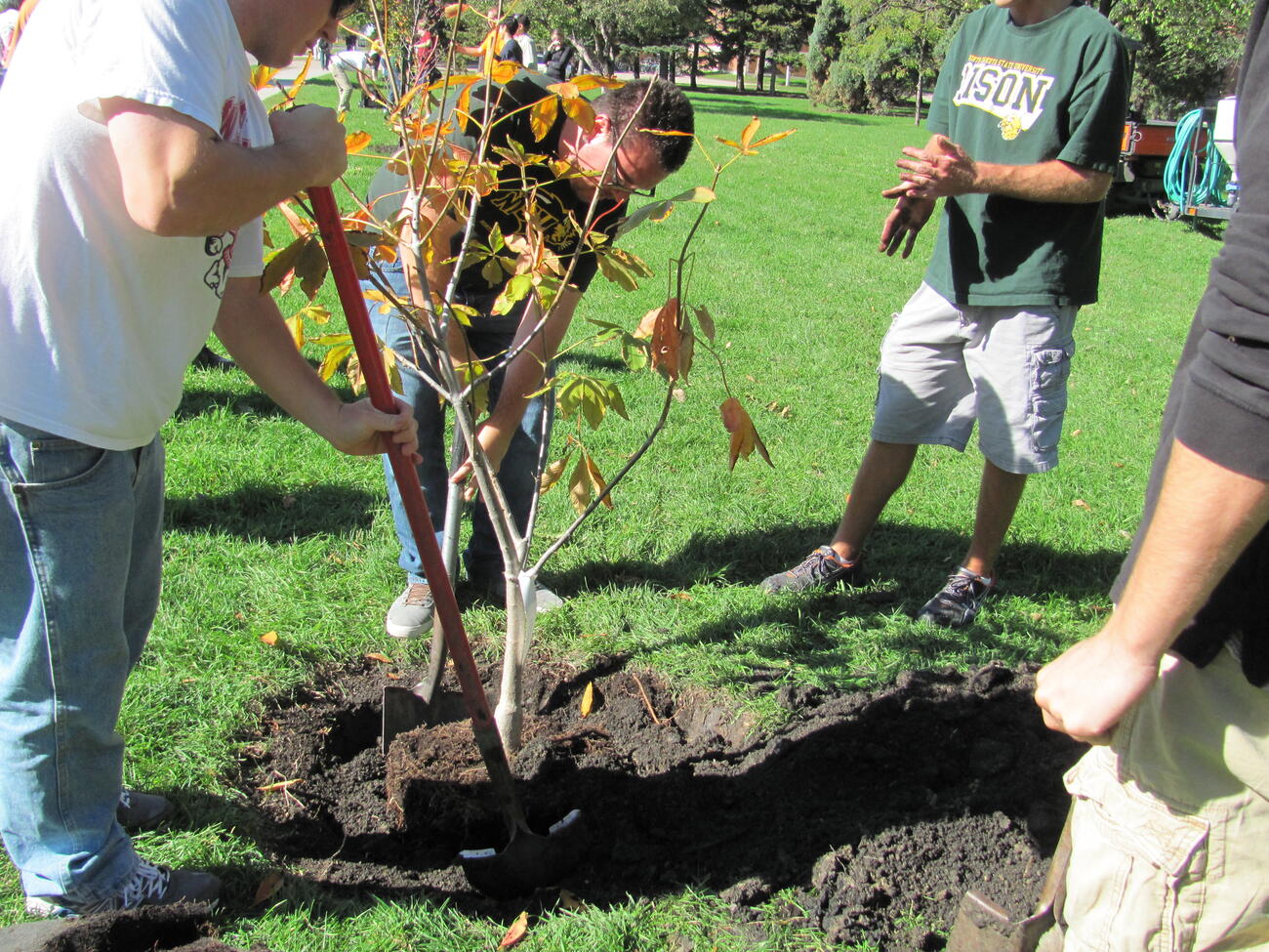 How To Plant A Bare-Root Tree | Almanac.com