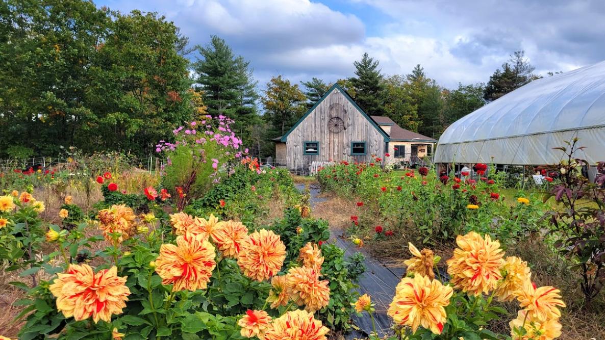 Planting Flowers for Blooms All Season Long | Almanac.com