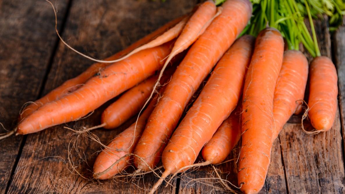 Carrots: Planting, Growing, and Harvesting Carrots at Home | The