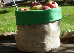 apple bags