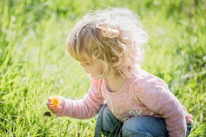 child and dandelion