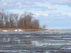 thawing ice