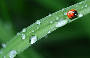 april rain