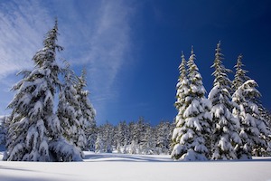 snowy path