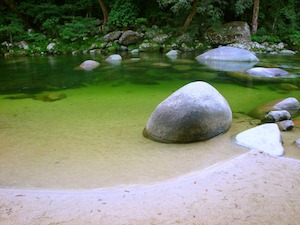 forest pool