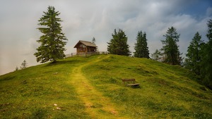 path through meadow