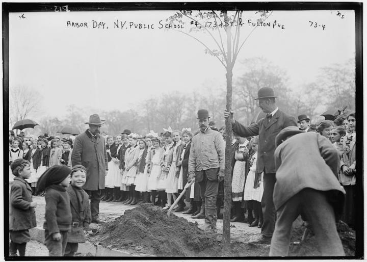 Arbor Day 2024 When Is Arbor Day? History & Activities The Old
