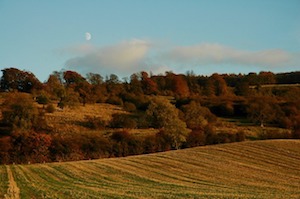 moon over fields