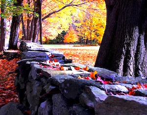 stone wall