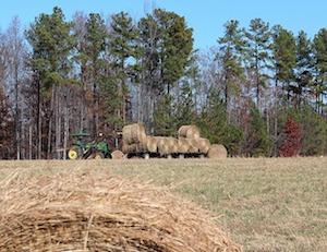 wagon with bales