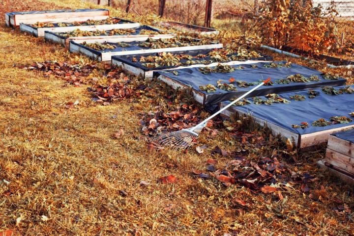 garden-beds-fall_full_width.jpg