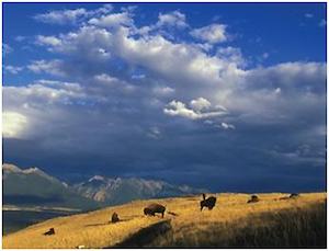 rain on great plains