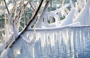 icicles