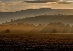 misty morning