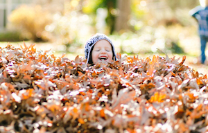 leaf pile