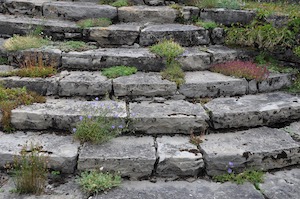 garden staircase