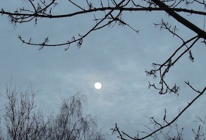 winter moon