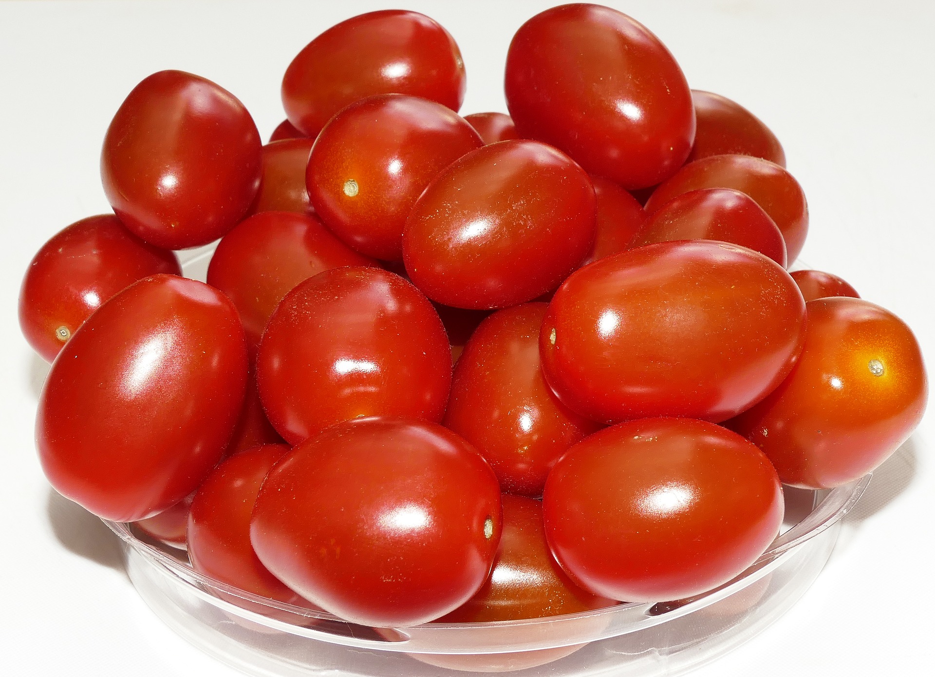 Plum Regal Determinate Tomato