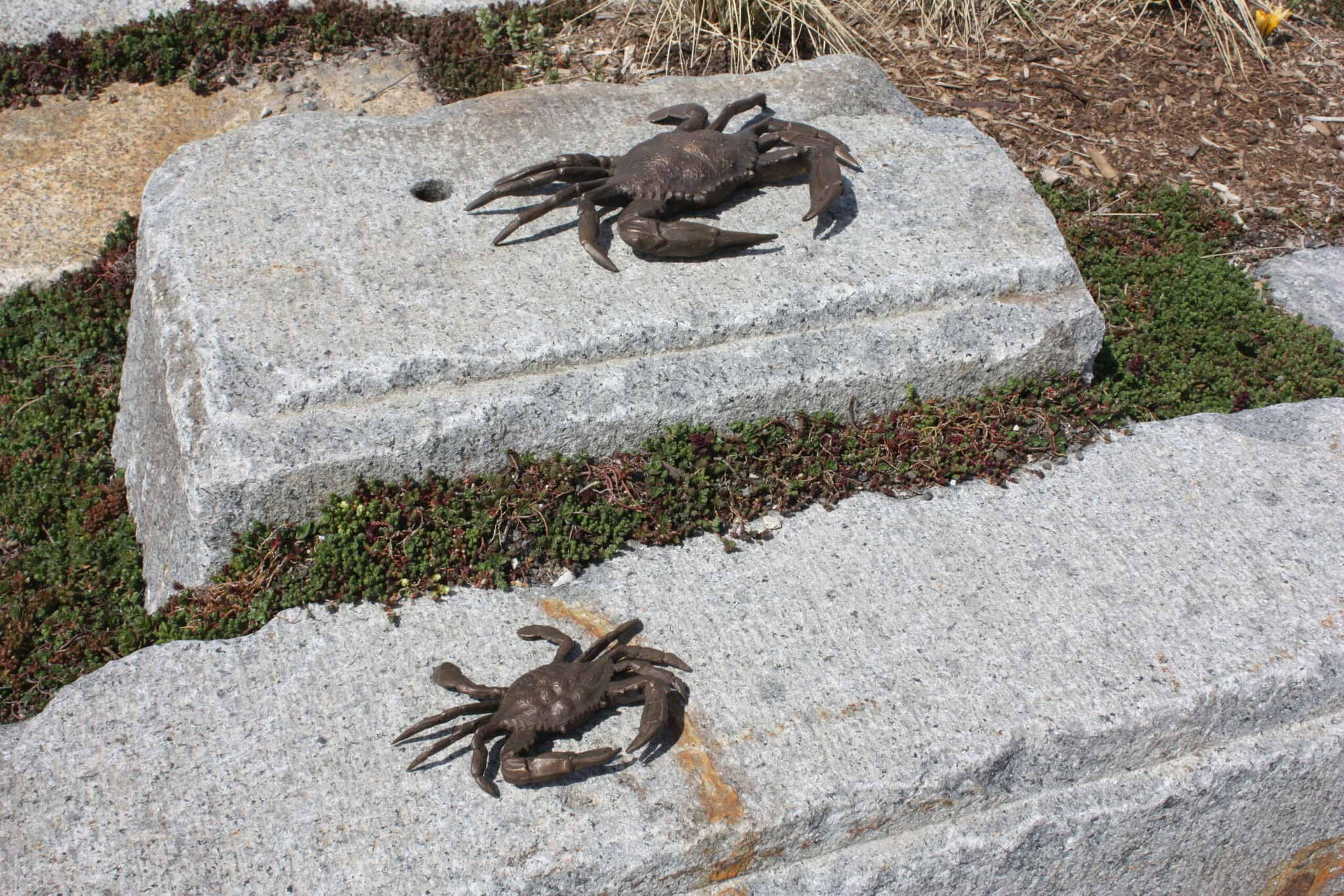 Bronze art adding interest on boulders and rocks.