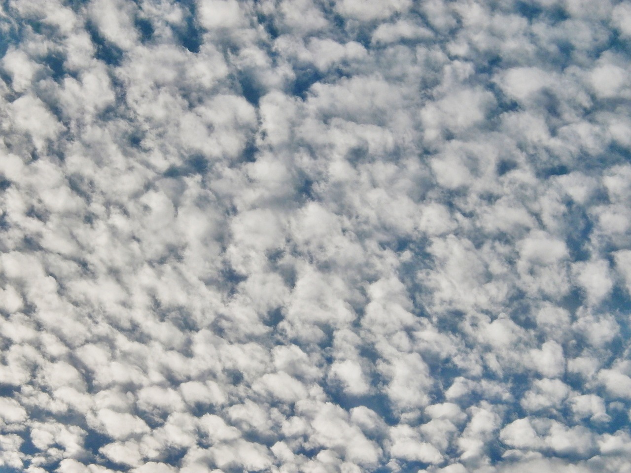 cirrocumulus clouds