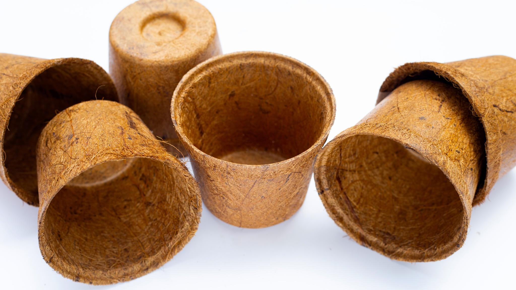 Pots made from coco coir