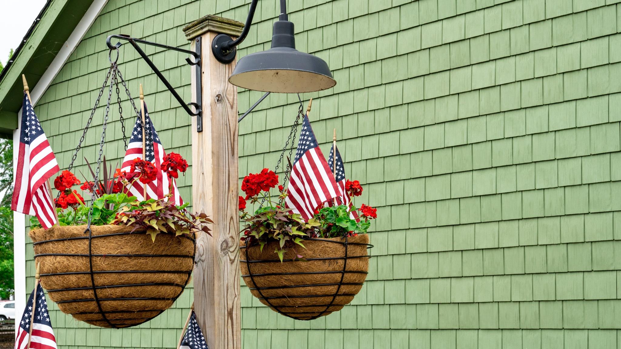 Hanging baskets with coco coir liners
